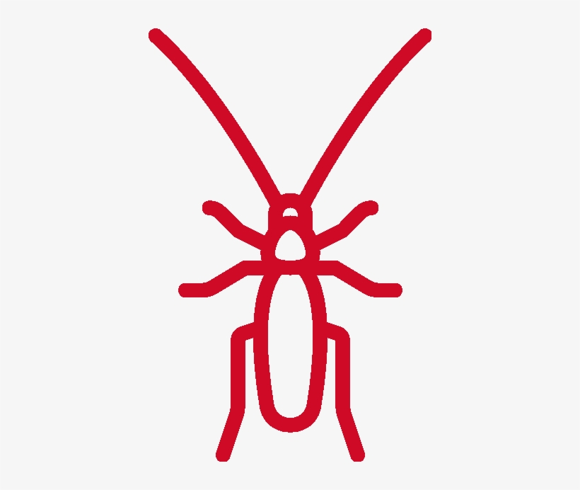 Cockroach Control - Pest, transparent png download