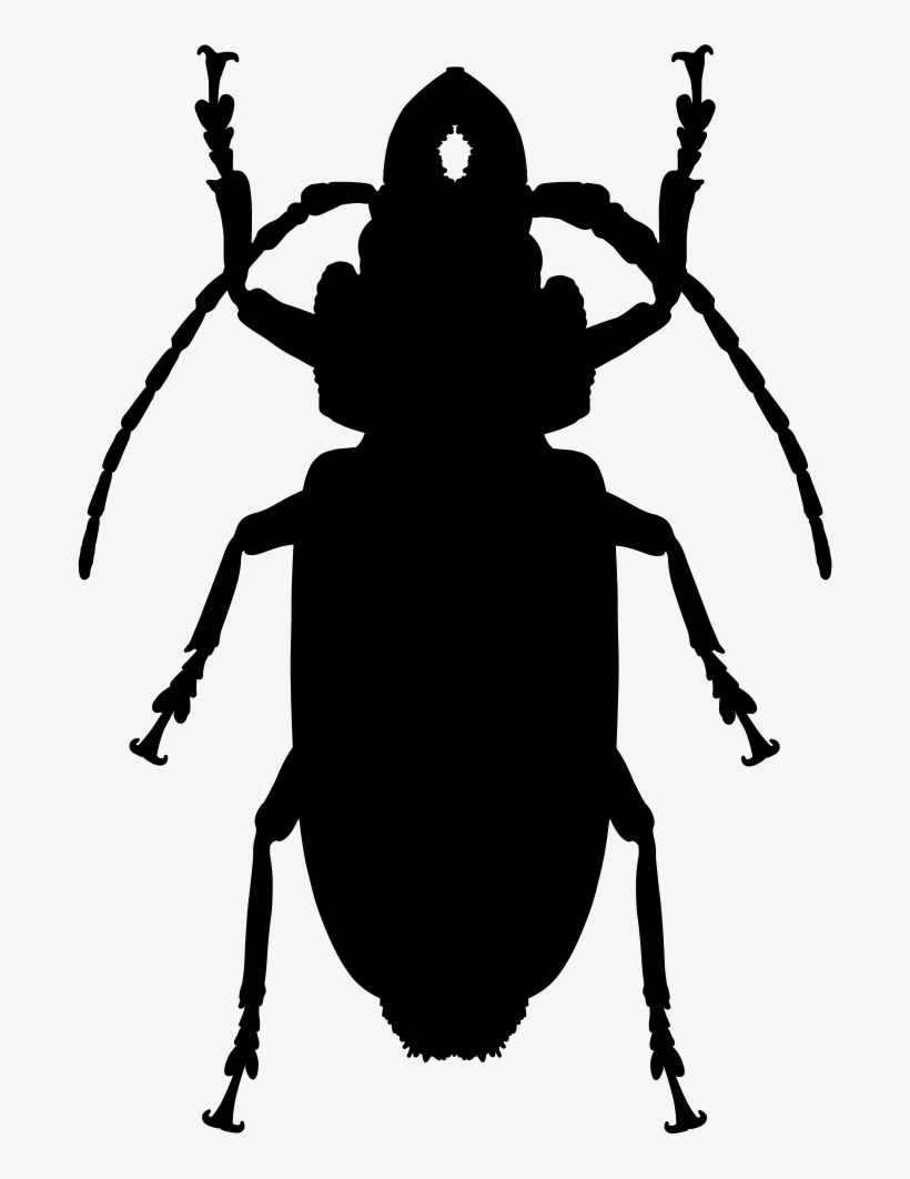 Cockroach Shape Comments - Icon, transparent png download