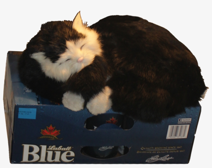 Cat Guarding The Beer Fridge Alpha - Box Wine, transparent png download