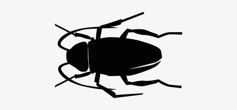 Cockroach - Leaf Beetle, transparent png download