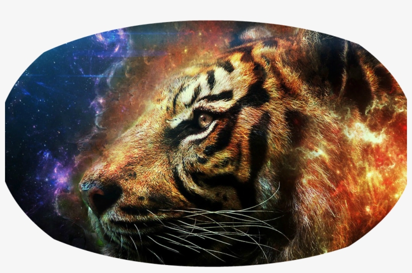 Flaming Tiger Head 9973 Pcdanicapng - Jiuduidodo Custom Best Gifts Cool Tiger Nylon Waterproof, transparent png download