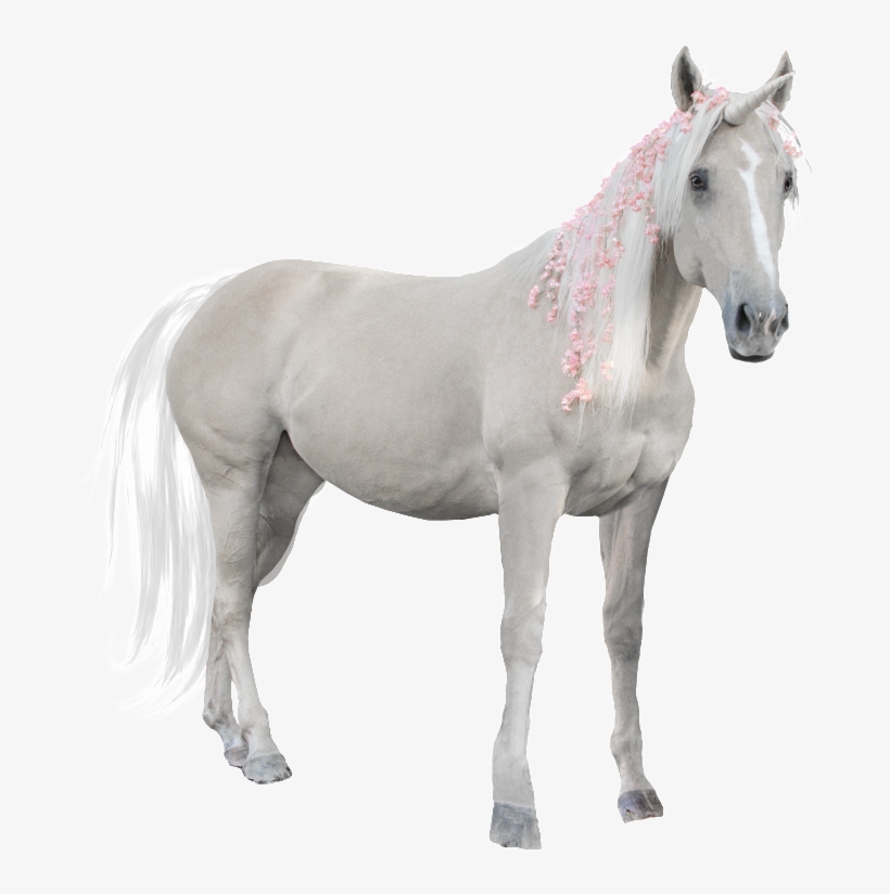 Hand Painted A White Horse Png Transparent - Portable Network Graphics, transparent png download