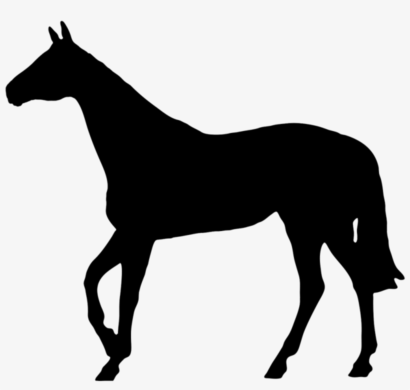 Horse Black Silhouette - Silhouette Of A Boxer Dog, transparent png download