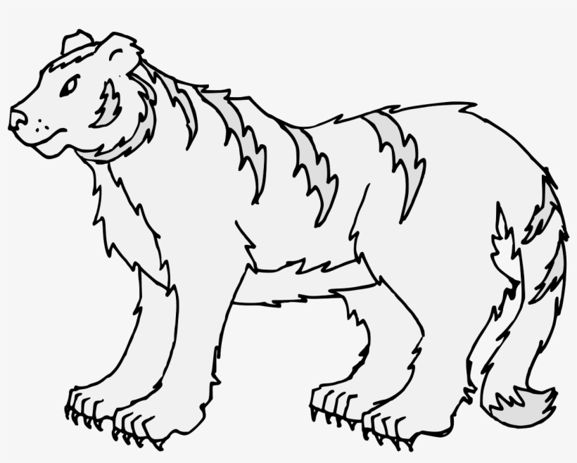 Details, Png - Tiger, transparent png download