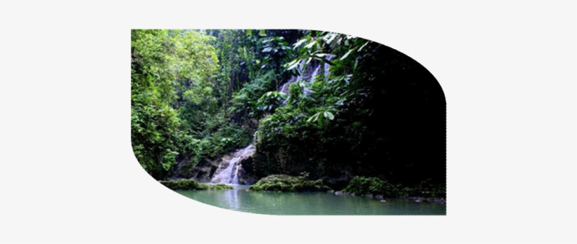 If You Love Waterfalls, This Is Definitely The Place - Frenchmans Cove, transparent png download