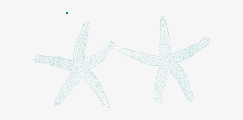 Waterfall Starfish Light Blue Svg Clip Arts 600 X 328, transparent png download