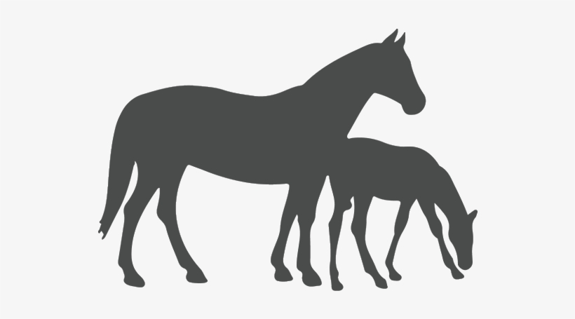 Performance Horse - Mare And Foal Silhouette, transparent png download