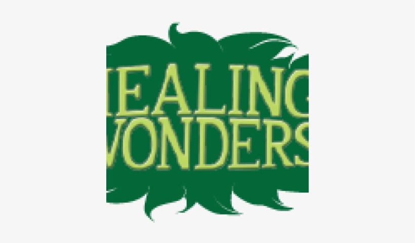 Bible Study Healing Wonder - Illustration, transparent png download