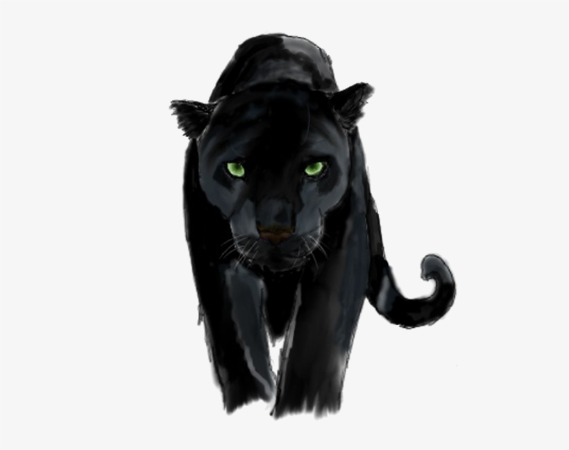 Panther Png Background Image - Panther Png, transparent png download