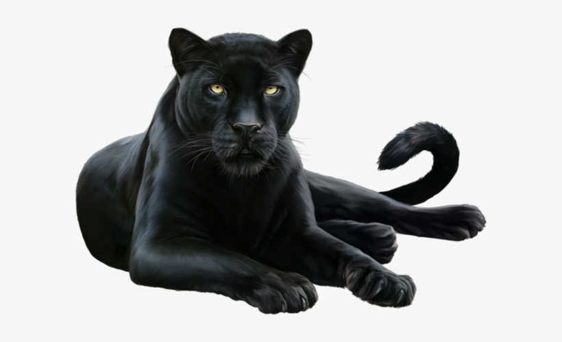 Panther Png Hd - Panther Png, transparent png download