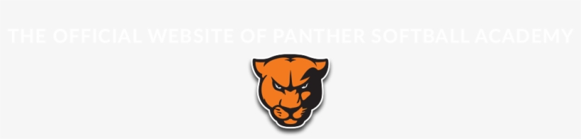 Greenville Panthers, transparent png download