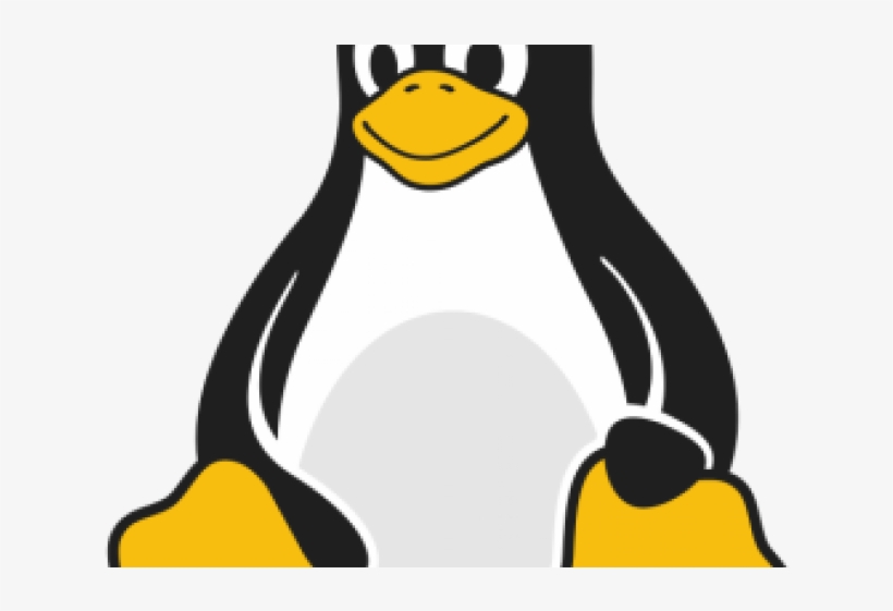 Linux Hosting Clipart Penguin - Linux: Functions And Features Of The Command Line, transparent png download