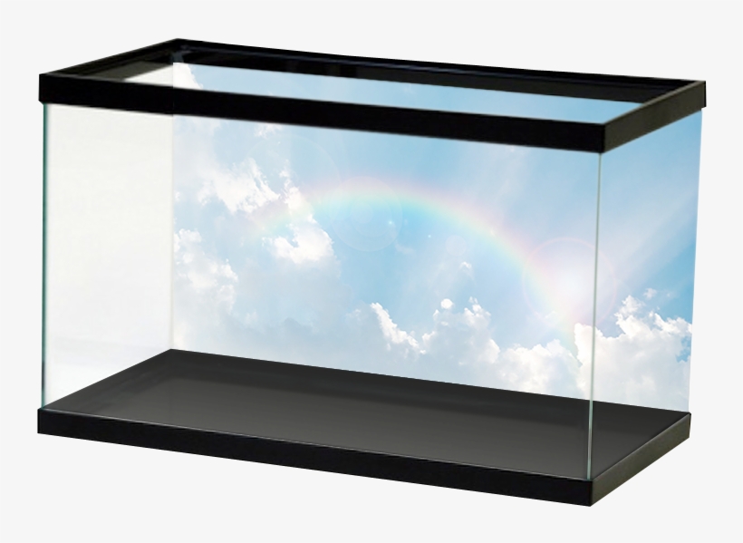 Specialty Rainbowsky, transparent png download