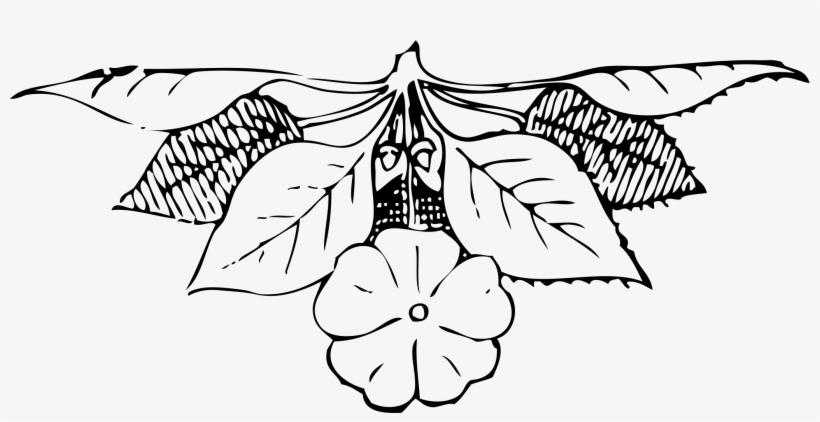 Art Nouveau Ornament Graphic Transparent Library - Art Nouveau Ornaments Png, transparent png download