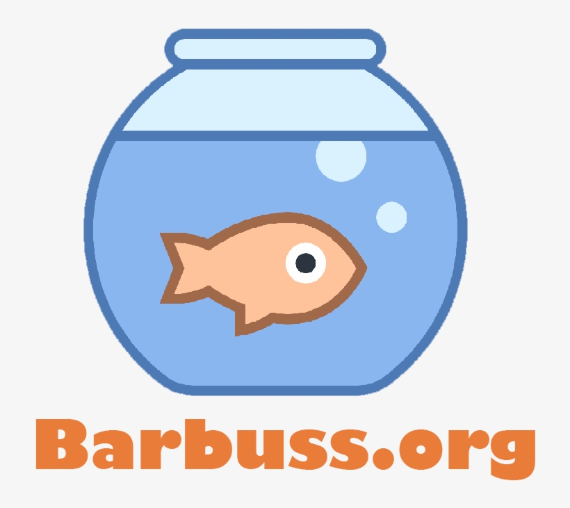 Things You Must Know Before Shoping About Fish Aquarium - Cat, transparent png download