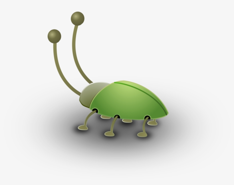 1022 X 750 1 - Bug Clip Art, transparent png download