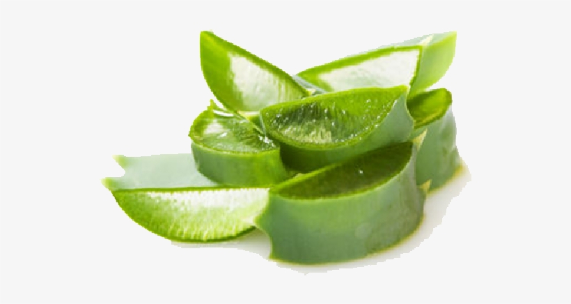 Aloe Vera Aloe Vera Gel Transparent Transparent Png 600x600 Free Download On Nicepng