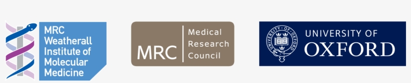 Web Colour - Weatherall Institute Of Molecular Medicine Logo, transparent png download