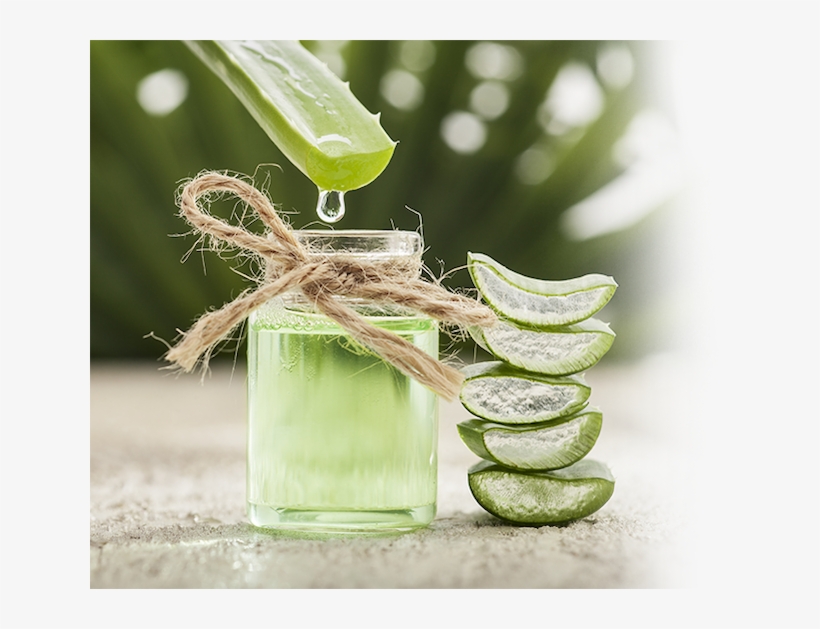 In Fact, Aloe Vera Gel Contains Over 200 Active Vitamins, - Inside Cactus Water, transparent png download
