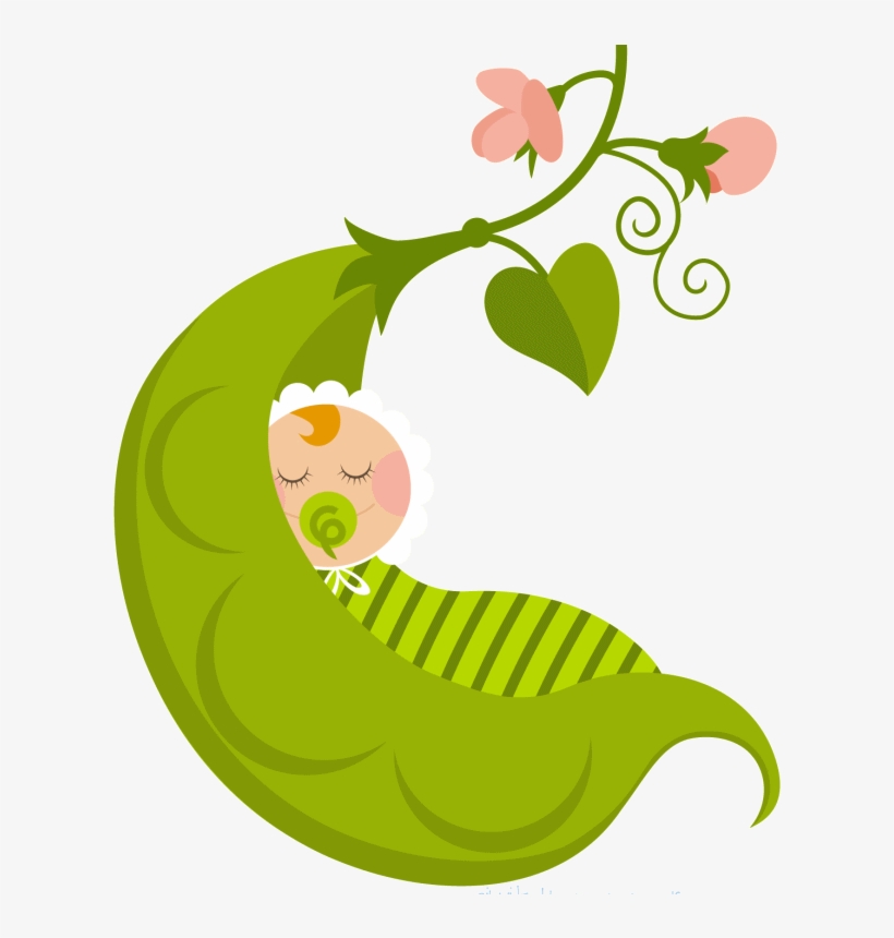 Png Transparent Baby Pea Pod Png Transparent Baby Pea - Baby In A Pod, transparent png download