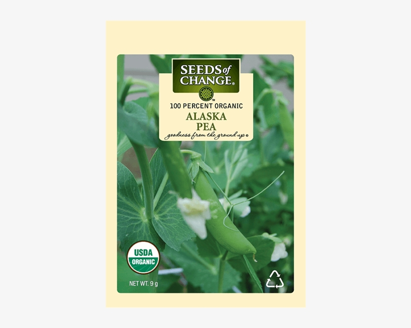 Organic Alaska Shell Pea Seeds - Usda Organic, transparent png download