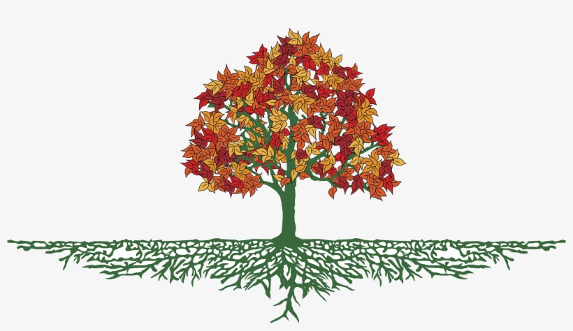 Autumn Tree With Roots By Deborah Drinon-haggerty - Fall Tree With Roots, transparent png download