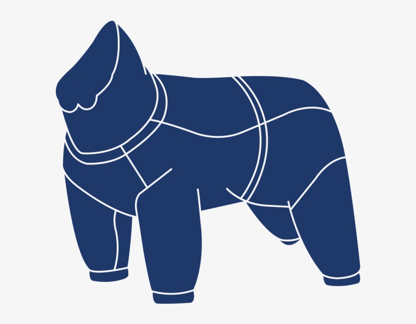 Rukka Dog Jacket, transparent png download