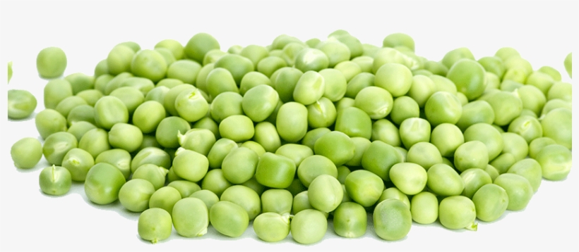 ‹ › - Snap Pea, transparent png download