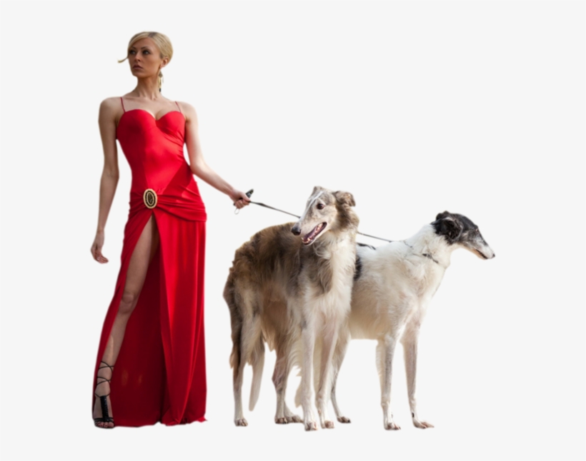 Girl With Pets - Borzoi, transparent png download