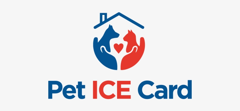 Pet 'home Alone' Ice - Graphic Design, transparent png download