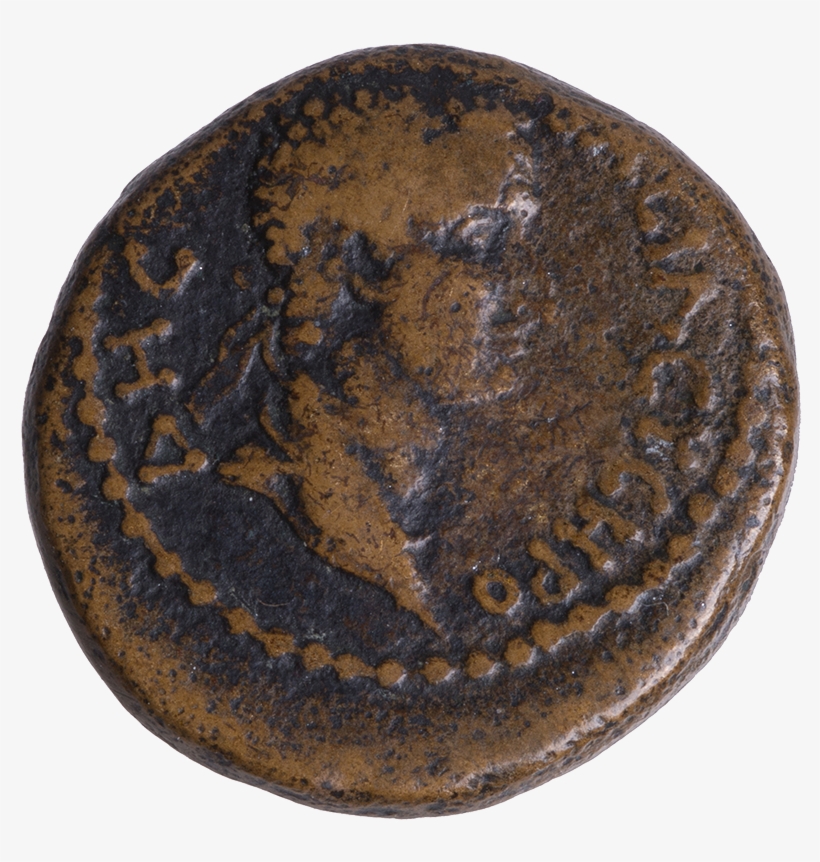 Bust Of Herod - Artifact, transparent png download