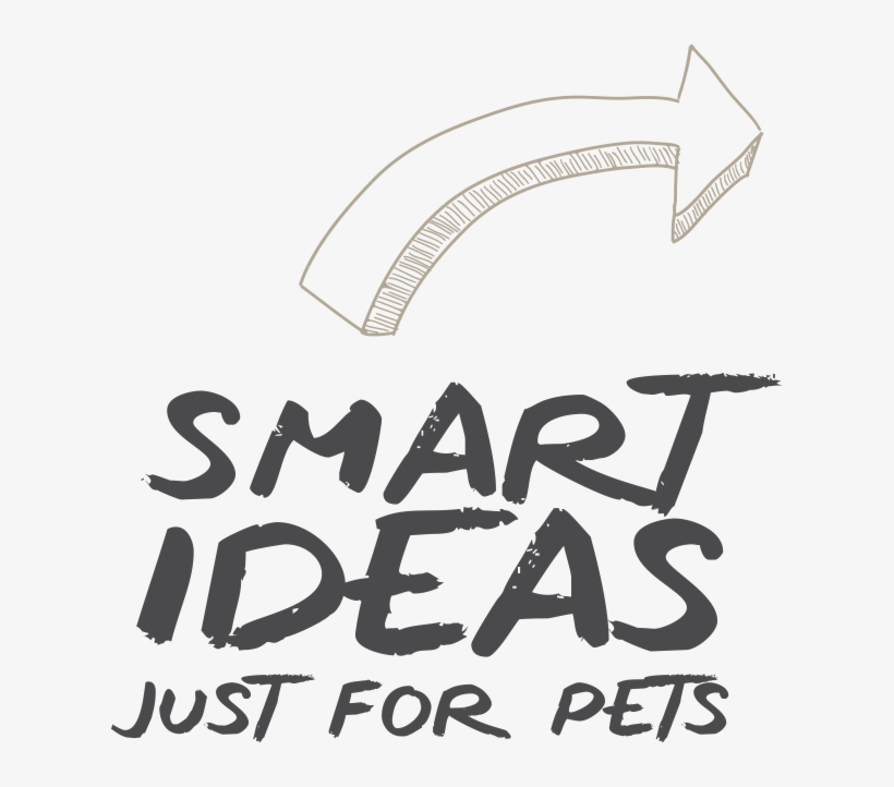 For The Love Of Your Pets - Calligraphy, transparent png download