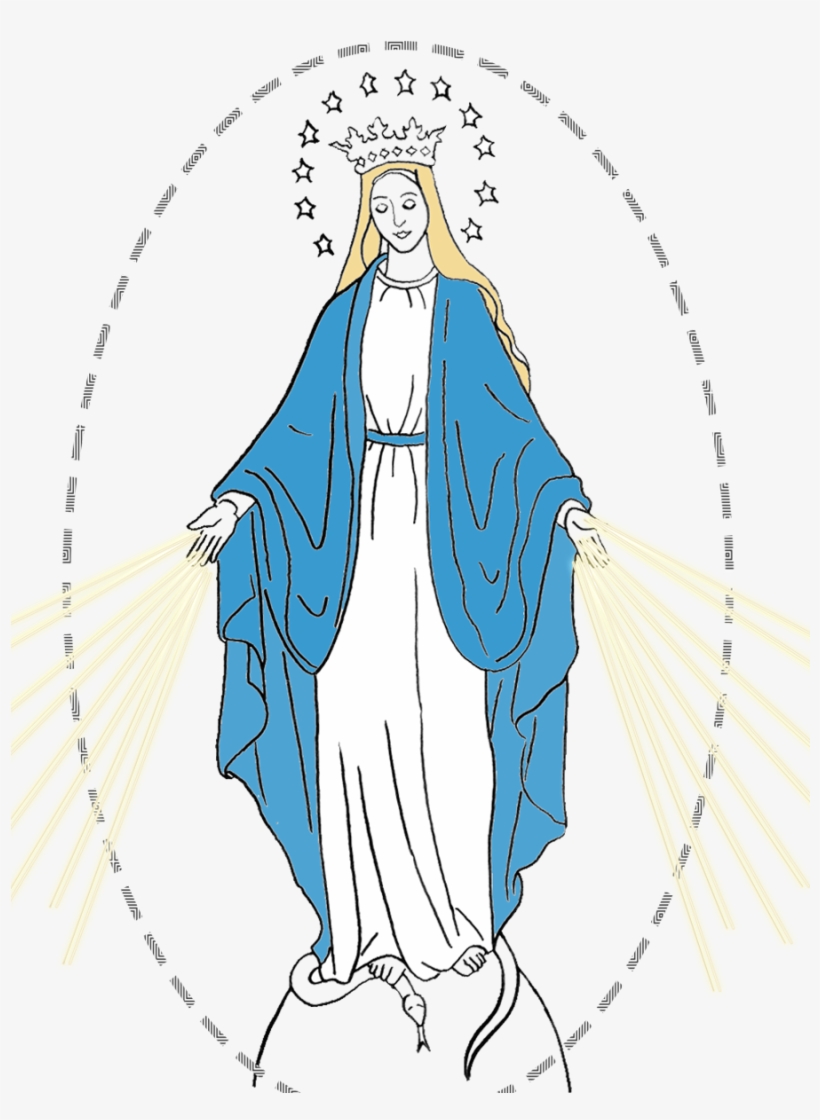 Immaculate - Illustration, transparent png download