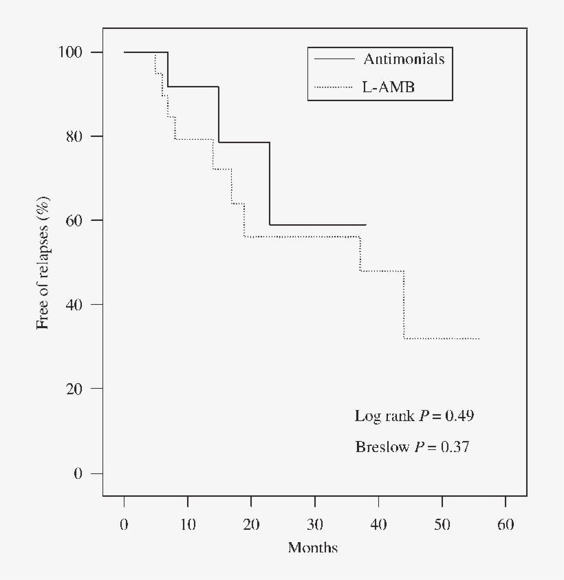 Kaplan Meier Estimates Of Cumulative Percentage Of - Diagram, transparent png download