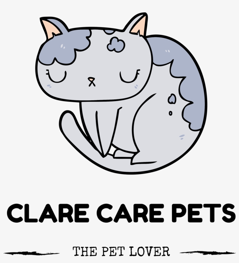 New Product Launch Under Clare Care Brand Specially - Caparol, transparent png download