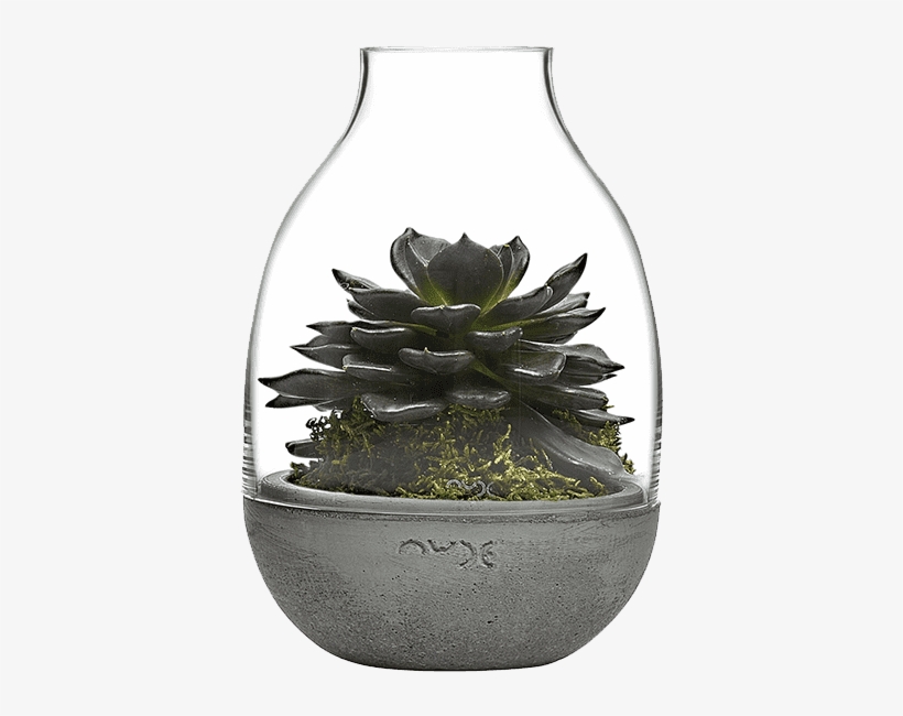 Nude, transparent png download