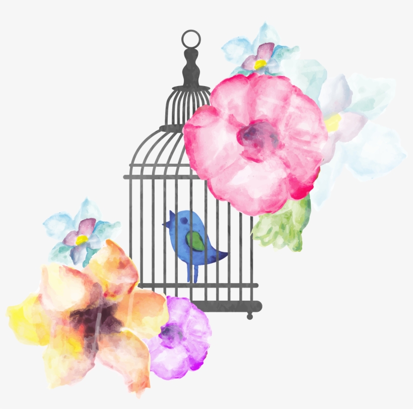 Banner Library Stock Birdcage Transprent Png Free Download - Watercolor Painting, transparent png download