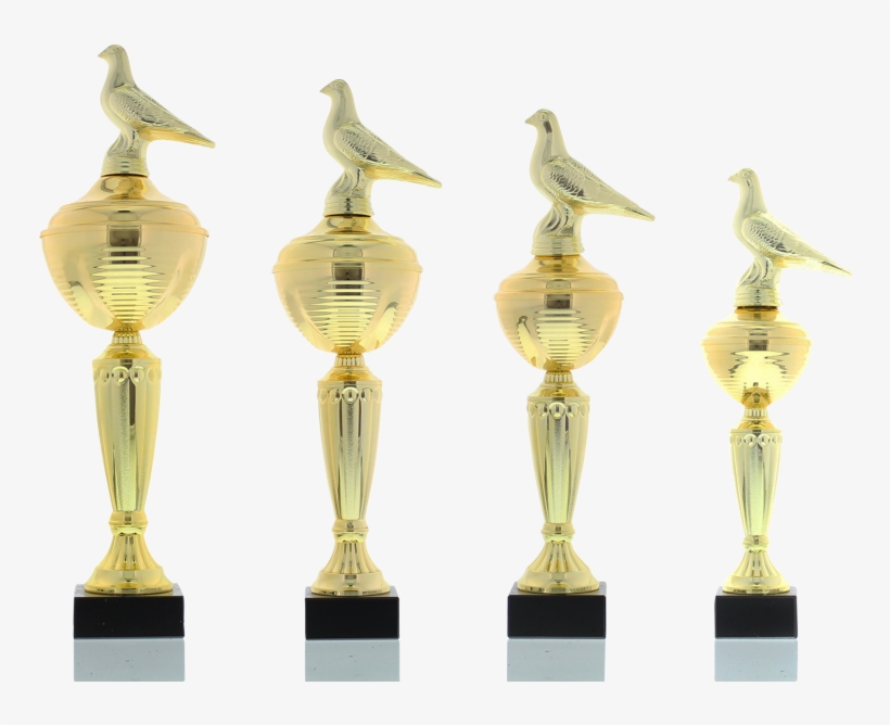 Trophy Series Camilla - Pigeon Trophy, transparent png download