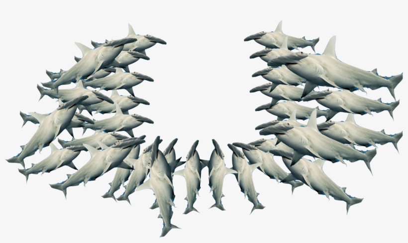 Sharks - Fighter Aircraft, transparent png download