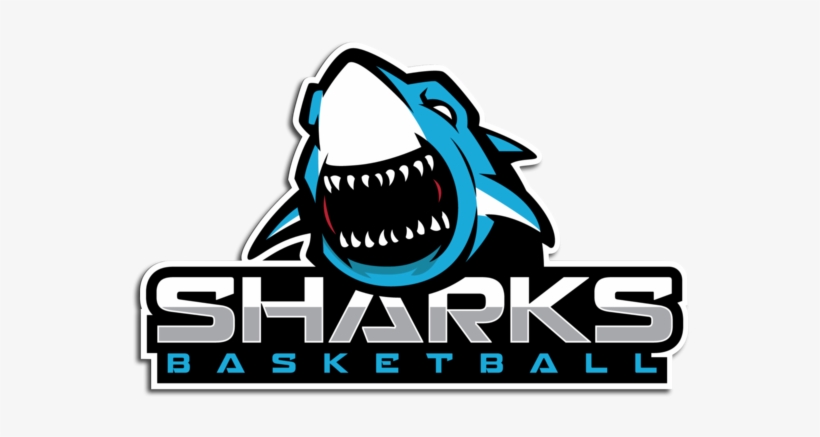 Great White Shark, transparent png download