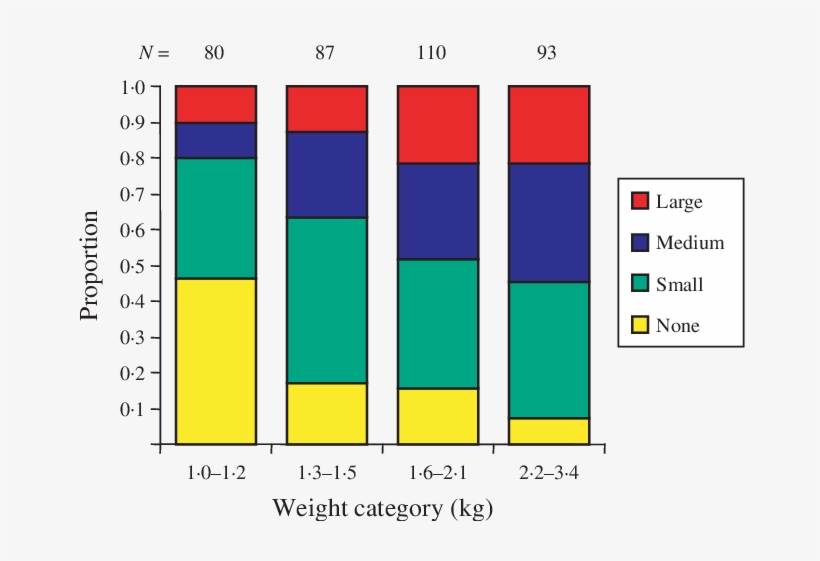 Cumulative Proportion Of Hock Burn Sizes In - Diagram, transparent png download
