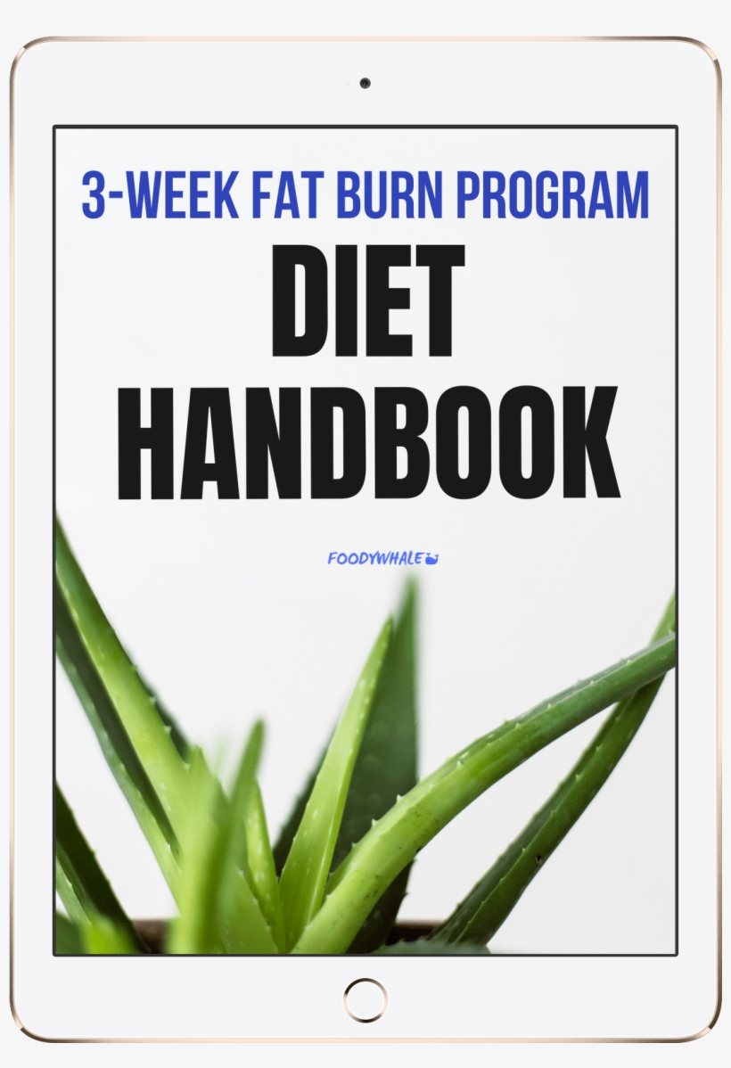 Diet Handbook Here You Will Find A Detailed Step By - Aloe Vera Best, transparent png download