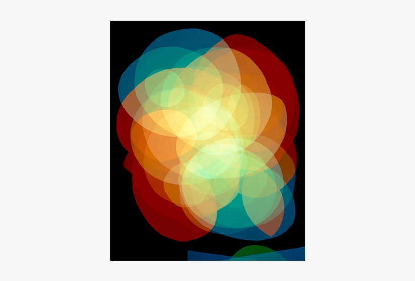 Niko Luoma Adaptation Of "vase Of Flowers On A Garden - Circle, transparent png download