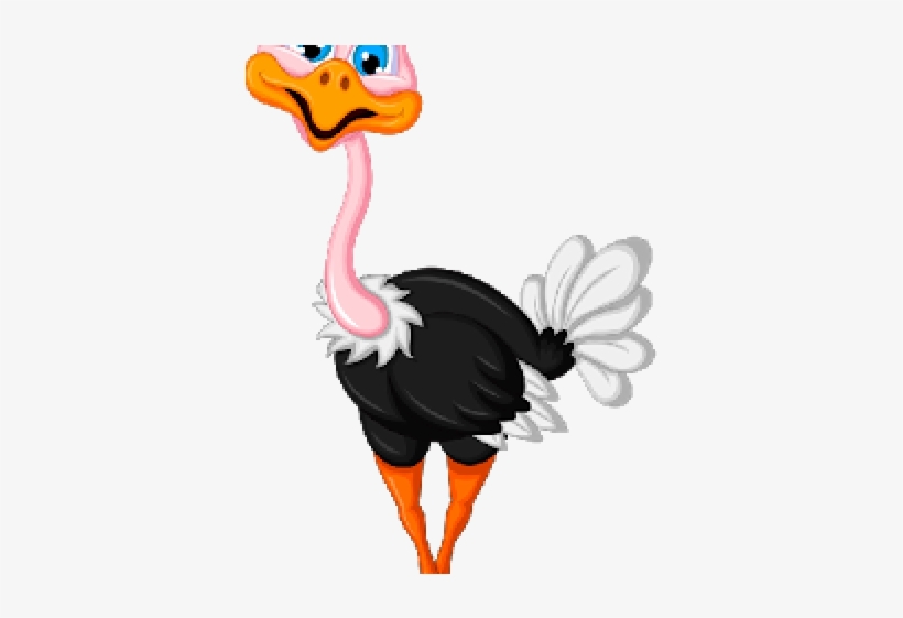 Ostrich Clipart Cute Baby - Quebra Cabeça De Animais Para Imprimir, transparent png download