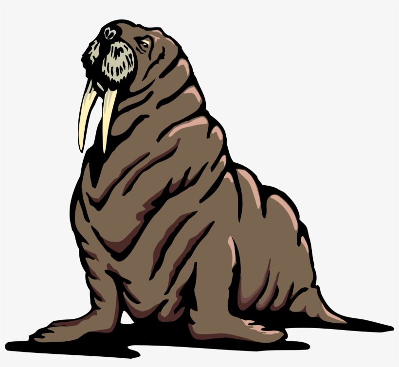 Walrus Transparent Png - Walrus Clipart Transparent, transparent png download