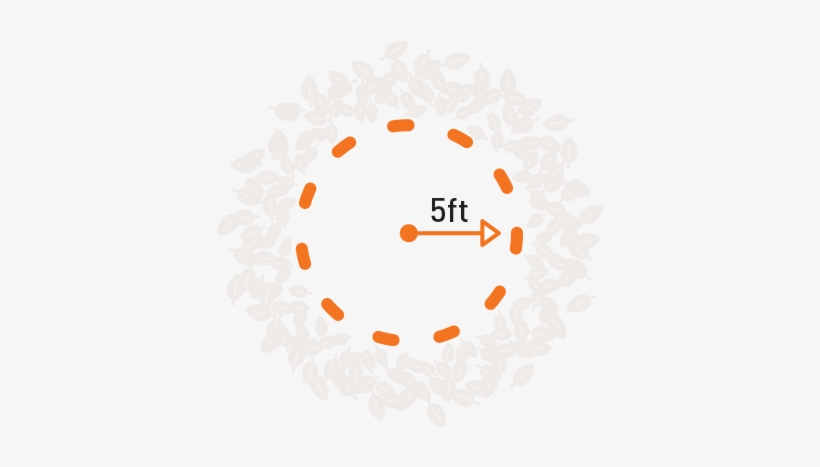 Clear Away Ground Debris - Circle, transparent png download