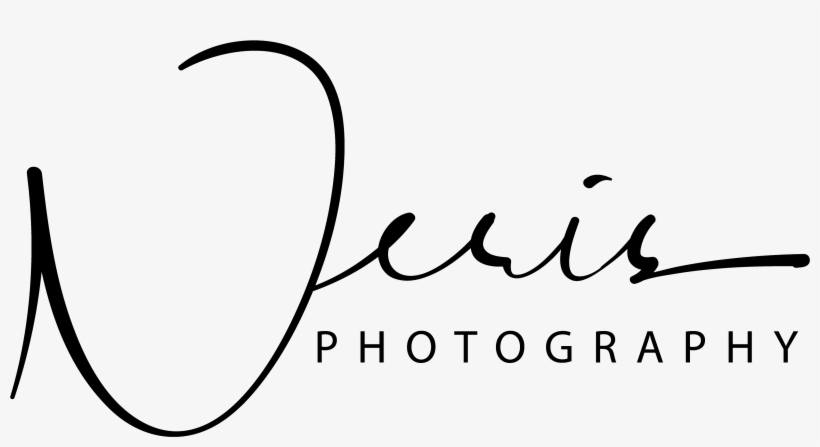 Esteban Morales - Calligraphy, transparent png download