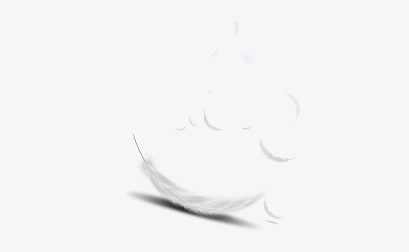 White Feather Light - Locket, transparent png download
