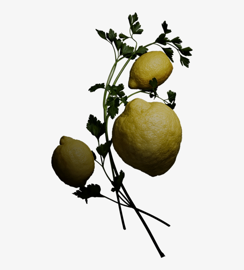 Papyrus - Sweet Lemon, transparent png download