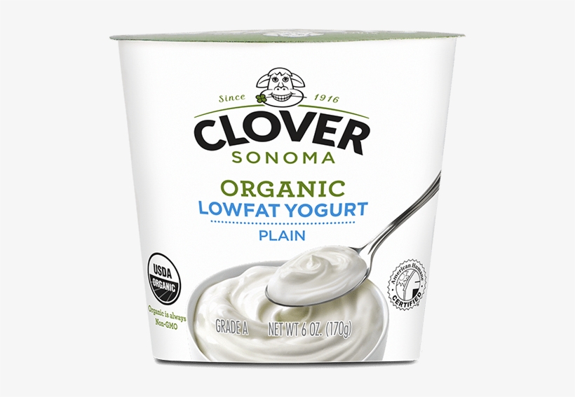 Organic Low Fat Plain Yogurt Whipped Cream Transparent PNG 622x622